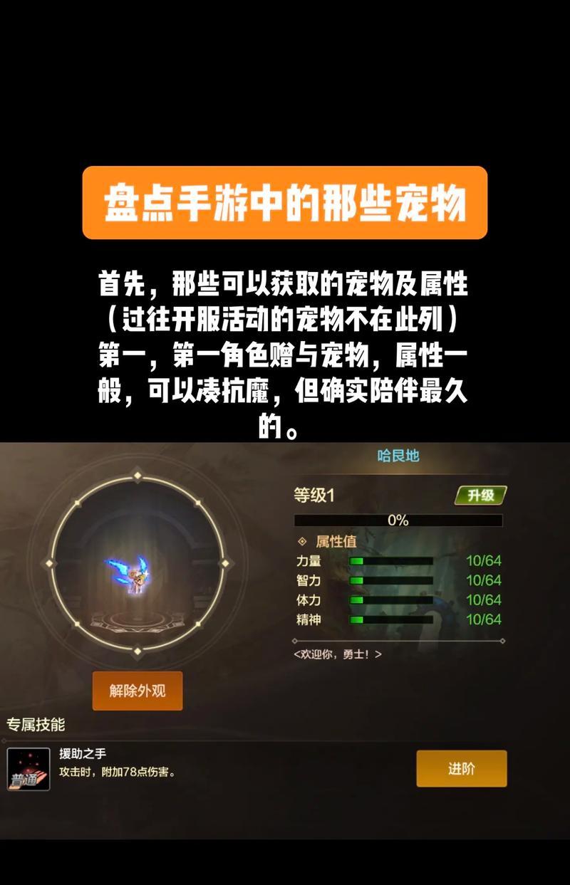 地下城怎么看宠物怎么获得的?宠物获取的途径有哪些?