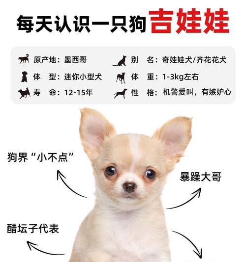 大嘴娃的饲养方法有哪些？