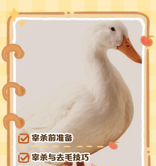 绝地求生中遇到鸭子该如何处理？