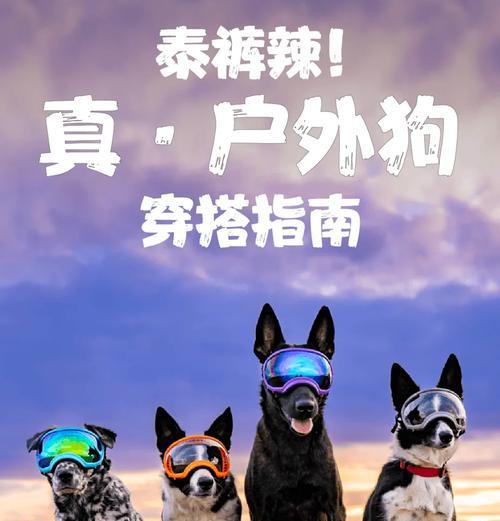 带狗版武器获取方法是什么?需要哪些条件?