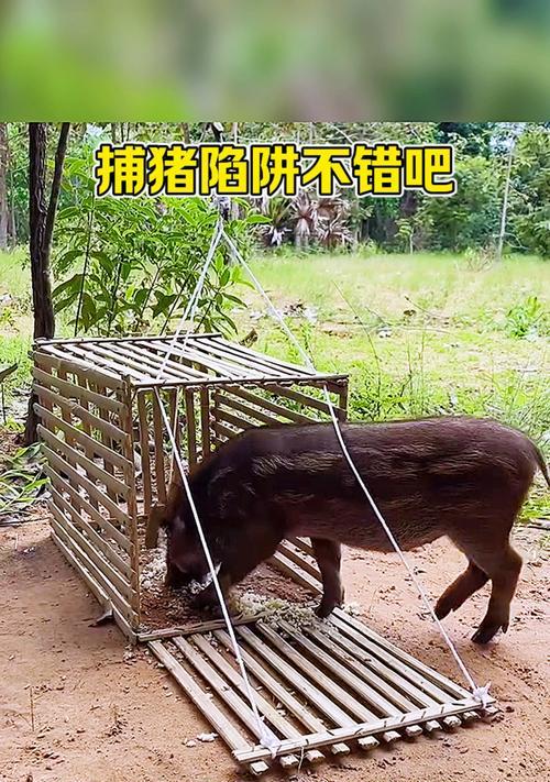绝地求生中猪圈的进入方式是什么?猪圈有什么特殊用途?