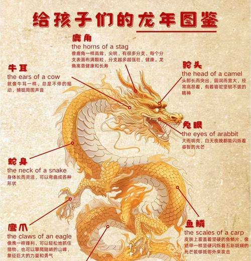 王者荣耀龙标志含义是什么？