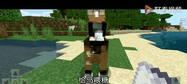 在《我的世界》中驯服马匹需要哪些步骤?