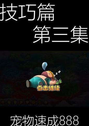 《造梦西游3》宠物技能全攻略（打造最强宠物团队）