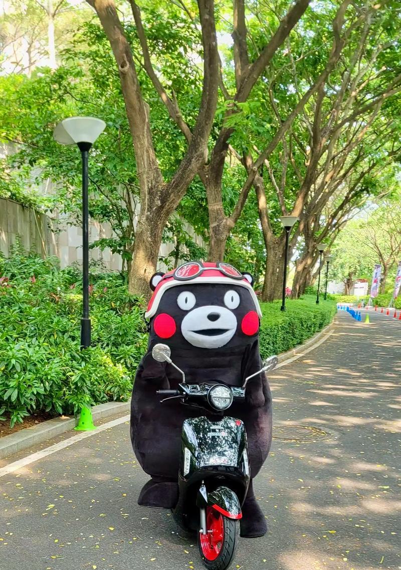 小森生活熊本熊游戏攻略（发现熊本熊的小森世界）