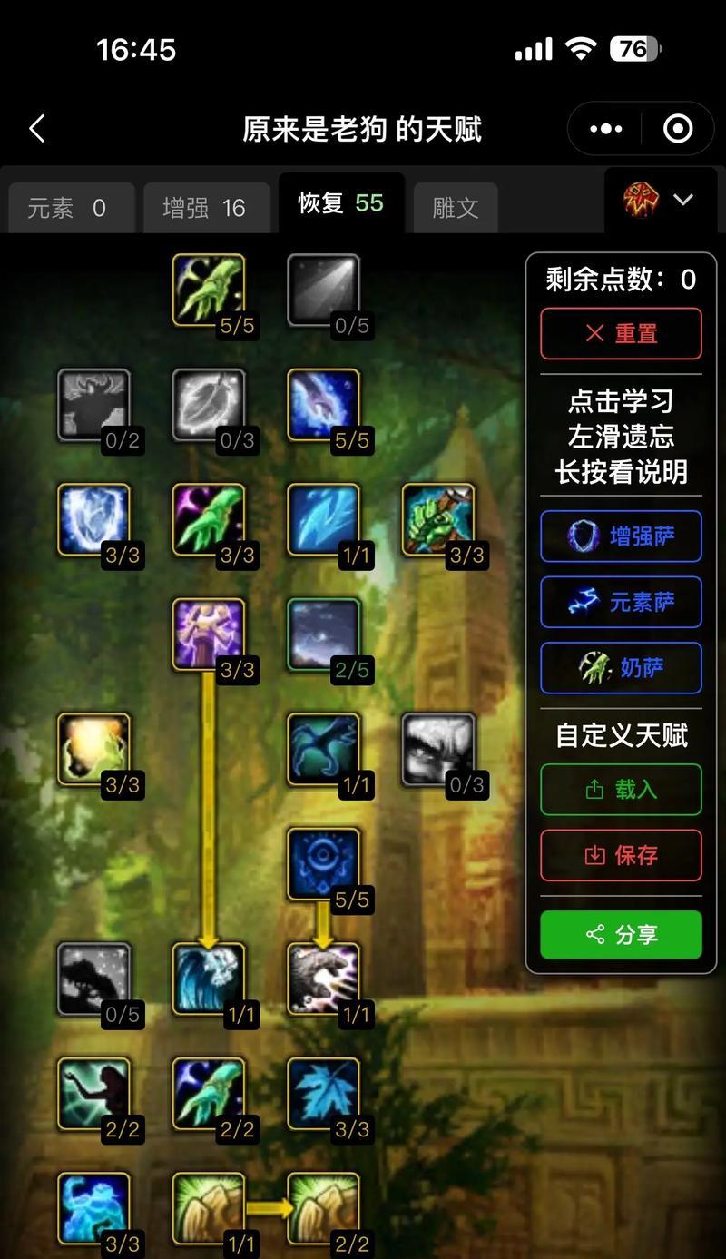 萨满加点的策略和技巧是什么？