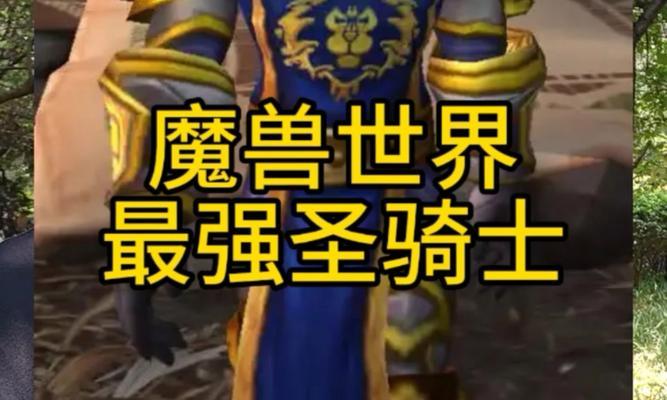 魔兽世界中圣骑士职业如何？圣骑士的优缺点是什么？
